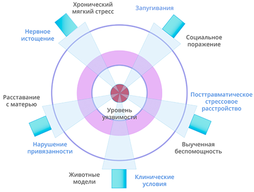 Рисунок 1