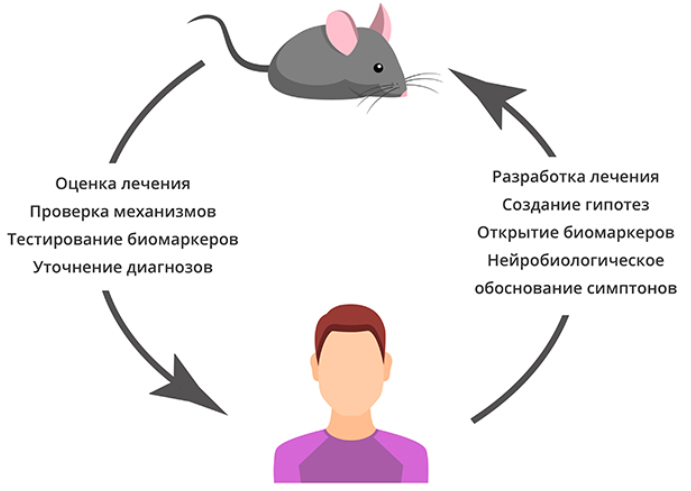 Рисунок 2
