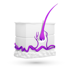 Дерматология						