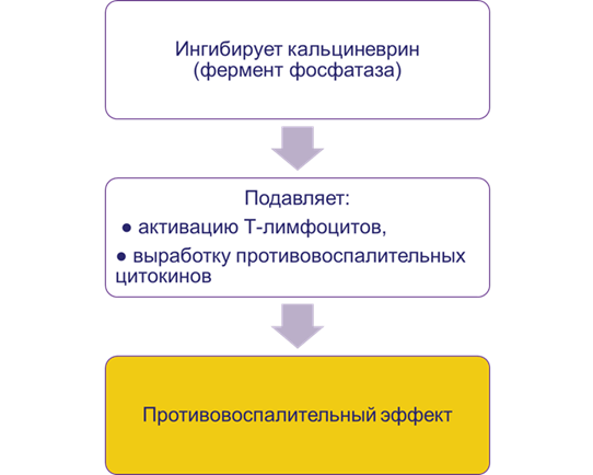 Механизм действия Элидел®