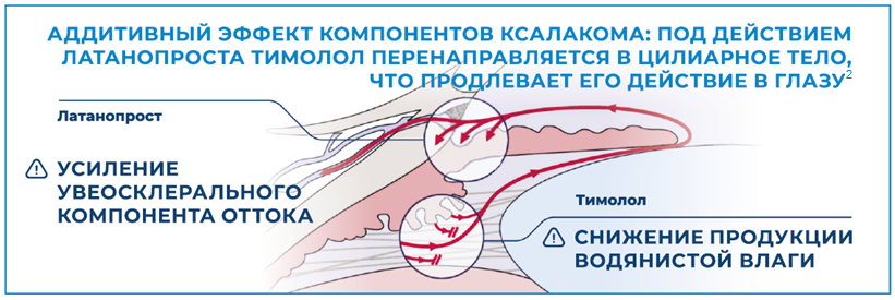 Механизм действия